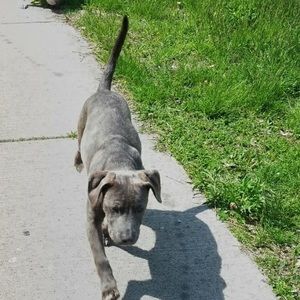 Meet your Posher, Timothy